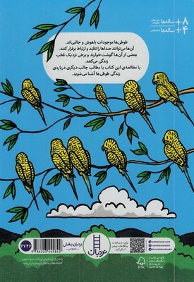 چیزهای بامزه درباره ی طوطی ها